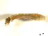 ( - BIOUG01783-B04)  @12 [ ] CreativeCommons - Attribution (2012) CBG Photography Group Centre for Biodiversity Genomics