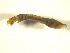  ( - BIOUG01783-B12)  @12 [ ] CreativeCommons - Attribution (2012) CBG Photography Group Centre for Biodiversity Genomics