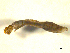  ( - BIOUG01783-C04)  @12 [ ] CreativeCommons - Attribution (2012) CBG Photography Group Centre for Biodiversity Genomics