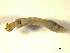  ( - BIOUG01783-C08)  @12 [ ] CreativeCommons - Attribution (2012) CBG Photography Group Centre for Biodiversity Genomics