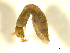  ( - BIOUG01783-D10)  @12 [ ] CreativeCommons - Attribution (2012) CBG Photography Group Centre for Biodiversity Genomics
