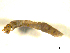  ( - BIOUG01783-D11)  @12 [ ] CreativeCommons - Attribution (2012) CBG Photography Group Centre for Biodiversity Genomics
