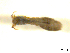  ( - BIOUG01783-E07)  @12 [ ] CreativeCommons - Attribution (2012) CBG Photography Group Centre for Biodiversity Genomics