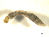  ( - BIOUG01783-F08)  @12 [ ] CreativeCommons - Attribution (2012) CBG Photography Group Centre for Biodiversity Genomics