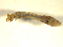  ( - BIOUG01783-F12)  @12 [ ] CreativeCommons - Attribution (2012) CBG Photography Group Centre for Biodiversity Genomics
