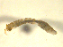  ( - BIOUG01783-G01)  @12 [ ] CreativeCommons - Attribution (2012) CBG Photography Group Centre for Biodiversity Genomics