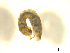  ( - BIOUG01783-G02)  @12 [ ] CreativeCommons - Attribution (2012) CBG Photography Group Centre for Biodiversity Genomics