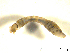  ( - BIOUG01783-G04)  @12 [ ] CreativeCommons - Attribution (2012) CBG Photography Group Centre for Biodiversity Genomics