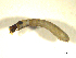  ( - BIOUG01783-G05)  @12 [ ] CreativeCommons - Attribution (2012) CBG Photography Group Centre for Biodiversity Genomics