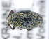  ( - CNCCOLVG00010990)  @11 [ ] c (2020) Vasily Grebennikov CFIA