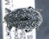 ( - CNCCOLVG00011018)  @11 [ ] c (2020) Vasily Grebennikov CFIA