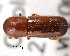  ( - CNCCOLVG00000106)  @13 [ ] Copyright (2010) Her Majesty the Queen in Right of Canada CFIA