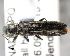  ( - CNCCOLVG00000409)  @12 [ ] Copyright (2011) Vasily Grebennikov CFIA