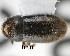  ( - CNCCOLVG00000540)  @13 [ ] Copyright (2010) Her Majesty the Queen in Right of Canada CFIA