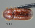  ( - CNCCOLVG00000601)  @12 [ ] Copyright (2010) Unspecified Canadian Food Inspection Agency