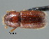  ( - CNCCOLVG00000602)  @13 [ ] Copyright (2010) Unspecified Canadian Food Inspection Agency