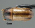  ( - CNCCOLVG00000605)  @13 [ ] Copyright (2010) Unspecified Canadian Food Inspection Agency