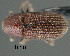  ( - CNCCOLVG00000610)  @13 [ ] Copyright (2010) Unspecified Canadian Food Inspection Agency