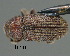  ( - CNCCOLVG00000611)  @13 [ ] Copyright (2010) Unspecified Canadian Food Inspection Agency