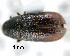  ( - CNCCOLVG00000615)  @13 [ ] Copyright (2010) Unspecified Canadian Food Inspection Agency