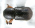  ( - CNCCOLVG00000635)  @12 [ ] Copyright (2010) Unspecified Canadian Food Inspection Agency