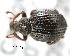 ( - CNCCOLVG00000760)  @13 [ ] Copyright (2010) Unspecified Canadian Food Inspection Agency