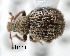  ( - CNCCOLVG00000821)  @12 [ ] Copyright (2010) Unspecified Canadian Food Inspection Agency