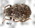  ( - CNCCOLVG00000832)  @11 [ ] Copyright (2010) Unspecified Canadian Food Inspection Agency