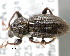  ( - CNCCOLVG00000843)  @15 [ ] Copyright (2010) Unspecified Canadian Food Inspection Agency