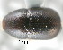  ( - CNCCOLVG00001262)  @11 [ ] Copyright (2010) Unspecified Canadian Food Inspection Agency