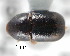  ( - CNCCOLVG00001273)  @12 [ ] Copyright (2010) Unspecified Canadian Food Inspection Agency