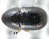  ( - CNCCOLVG00001275)  @12 [ ] Copyright (2010) Unspecified Canadian Food Inspection Agency