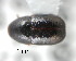  ( - CNCCOLVG00001285)  @12 [ ] Copyright (2010) Unspecified Canadian Food Inspection Agency