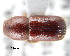  ( - CNCCOLVG00001311)  @13 [ ] Copyright (2011) Vasily Grebennikov CFIA
