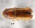  ( - CNCCOLVG00001348)  @13 [ ] Copyright (2011) Vasily Grebennikov CFIA