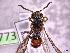  ( - 7735)  @14 [ ] CreativeCommons  Attribution Non-Commercial (by-nc) (2017) Institut for integrative nature conservation research Institut for integrative nature conservation research