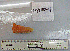 ( - PYHE-4)  @11 [ ] No Rights Reserved  Unspecified Unspecified
