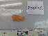  ( - PYHE-5)  @11 [ ] No Rights Reserved  Unspecified Unspecified