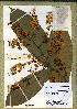  (Campylospermum dybowsky - JJW5455)  @11 [ ] Unspecified (default): All Rights Reserved  Unspecified Unspecified