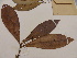  ( - L124_9455)  @11 [ ] Unspecified (default): All Rights Reserved  Unspecified Unspecified