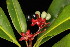  ( - LC661)  @11 [ ] Unspecified (default): All Rights Reserved  Unspecified Unspecified
