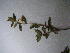  ( - OL1018)  @11 [ ] Unspecified (default): All Rights Reserved  Unspecified Unspecified