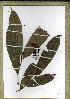  ( - PB1230)  @11 [ ] Unspecified (default): All Rights Reserved  Unspecified Unspecified