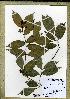  ( - WAG2_6618)  @11 [ ] Unspecified (default): All Rights Reserved  Unspecified Unspecified