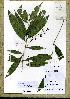 ( - WAG32_14650)  @11 [ ] Unspecified (default): All Rights Reserved  Unspecified Unspecified