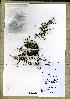  (Ledermanniella - WAG61_3320)  @11 [ ] Unspecified (default): All Rights Reserved  Unspecified Unspecified