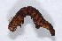  ( - DLW-002250)  @12 [ ] No Rights Reserved (2019) David L. Wagner University of Connecticut