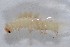  ( - DLW-002254)  @12 [ ] No Rights Reserved (2019) David L. Wagner University of Connecticut
