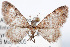  ( - DLW-002364)  @11 [ ] No Rights Reserved (2021) David L. Wagner University of Connecticut