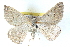  ( - BIOUG04671-A01)  @14 [ ] CreativeCommons - Attribution (2013) CBG Photography Group Centre for Biodiversity Genomics